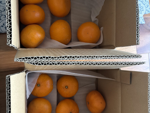 人気2品種食べ比べ】せとか＋甘平 各1kg 家庭用：愛媛県産のみかん