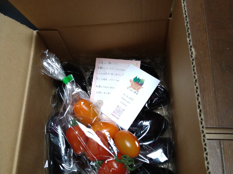 つやつや真っ黒！群馬の露路ナス（M〜Lサイズ、常温60サイズです。）