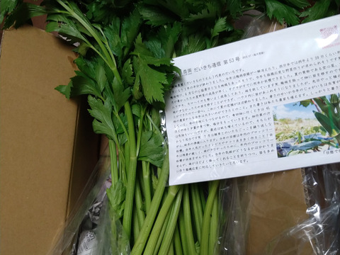 セロリ好き必見🌱農薬・化学肥料不使用のセロリ1kg🍀