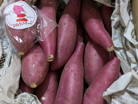 ちびちびサイズでもホックリサラリ‼︎「ゆきこまち」 2キロ箱