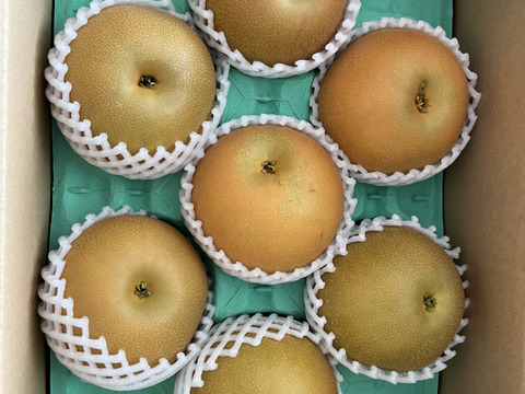 フルーティーな香り　あきづき　梨　3キロ箱　5〜8玉