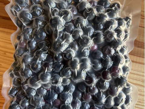 冷凍】【大鹿村産農薬不使用】加工用冷凍ブルーベリー（3kg）：長野県