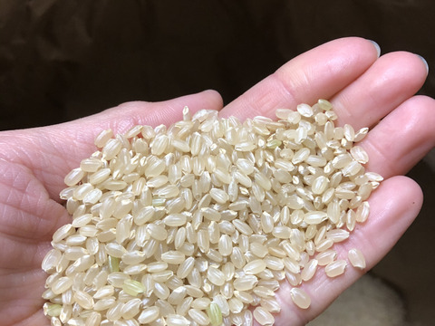 【食べチョクアワード受賞記念】朝採れ新鮮野菜＆有機玄米（白米）お試し2キロ詰め合わせセット