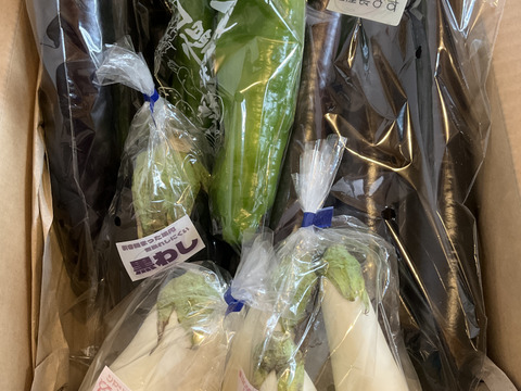 ナス好きのための🍆食べ比べセット3ｋｇ