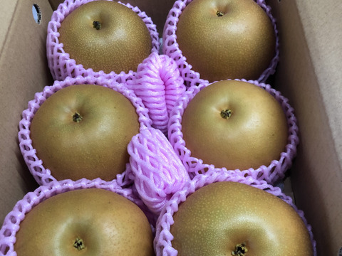 昨年大好評！『清流球磨梨』あきづき　約3kg(3〜7個入り)