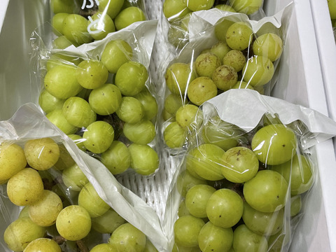 🔥タイムセールシ⑦■訳あり・小房・カット房■ 【シャインマスカット】2kg化粧箱