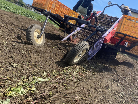 ねっとり濃厚な甘味！べにはるか平干し芋計2kg（400g×5）