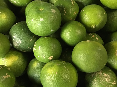 訳ありすだち１キロ