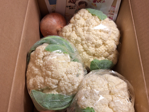 淡路島からのカリフラワー3つ　特別栽培農産物