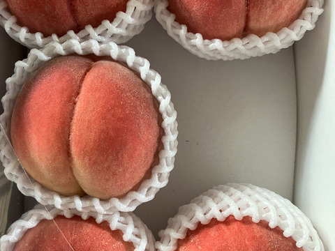 予約販売☆桃『なつっこ』☆2kg化粧箱