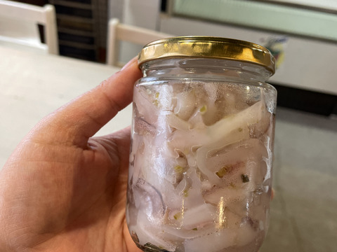 釣りたてヤリイカの塩辛(肝不使用)2瓶