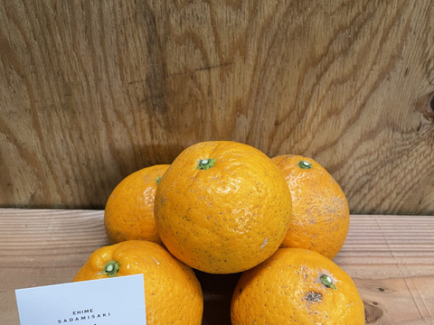 愛媛県産　清見オレンジ　訳あり・お徳用　10kg(箱込）