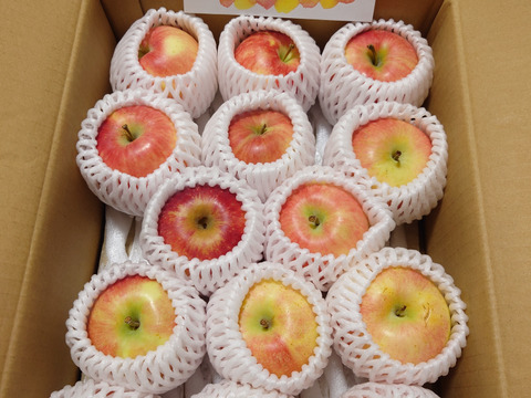 【最終】【吉池果樹園の１品種目】希少な夏りんご『夏あかり』３㎏
N-k3