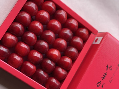 予約2025年6月下旬〜】やまがた紅王🍒さくらんぼ新品種！特秀