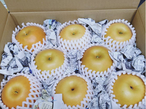 令和7年9月発送【予約】梨 南水 良品　3kg 長野県産　大好評‼️