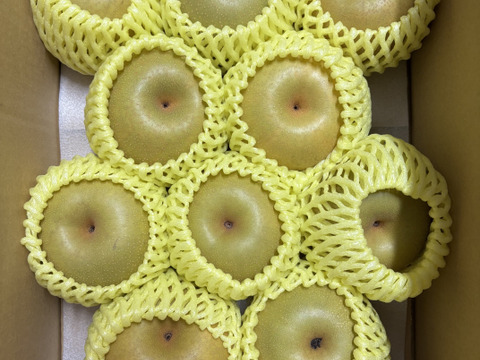 【夏ギフト】安野農園の『恋する甘さ！』幸水梨秀品3キロ4〜10玉［8月下旬〜］