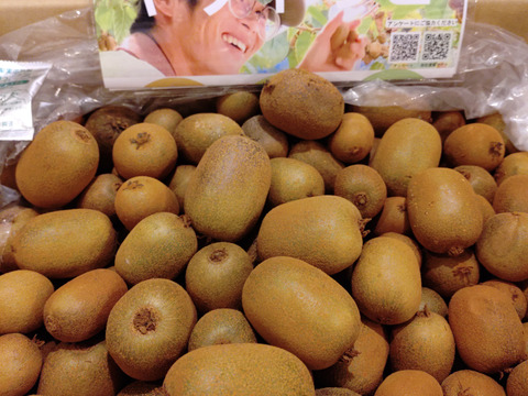 幻の一口キウイ！『さぬきキウイっこ®』訳あり・ご家庭用・5kg（７０～１００個）