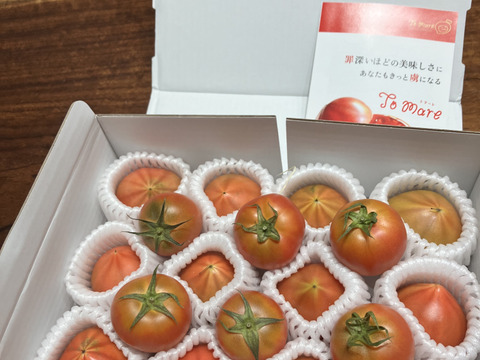 衝撃の濃い味【限定】弾ける旨味・甘み！【ト・マーレ】禁断の濃密さ 750g
