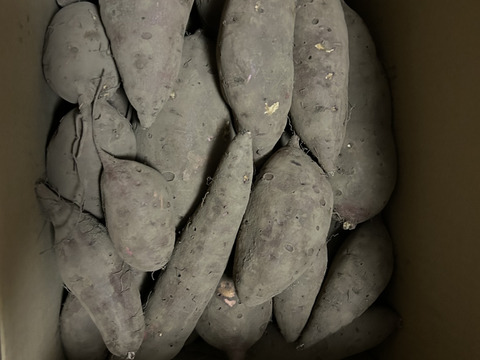 訳あり・形良し・土付き🍠シルクスウィート・内容100g〜750g大小混合
⭐︎農薬不使用