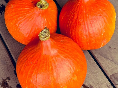 【3玉　約5ｋｇ】八ヶ岳西麓産　農薬化学肥料不使用　『打木赤皮甘栗かぼちゃ』