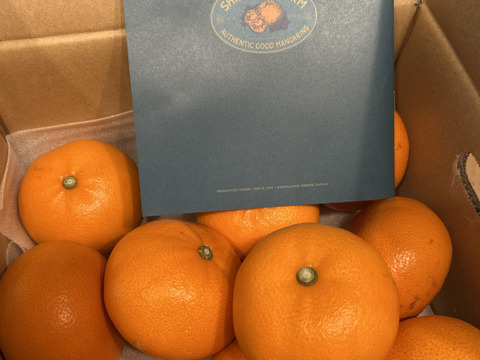 柑橘の大トロ【せとか 2kg】～とろける濃厚果実～ 家庭用