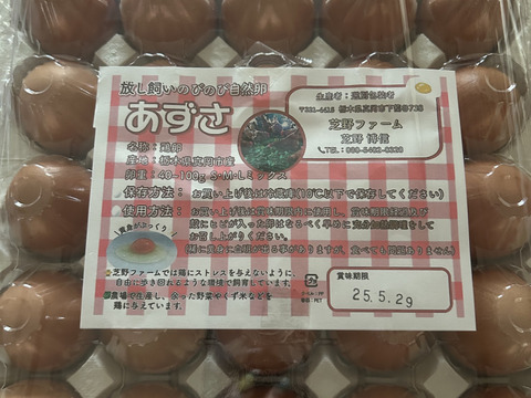 (常温便)出荷日当日の朝採り新鮮お届け致します☆　平飼い濃厚卵
純国産赤鶏あずさ:岡崎おうはん各30個計60個＋割れ保証