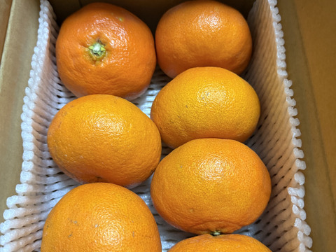 「甘平」2kｇ　家庭用！！
サクサク食感♪ 順次発送中〜