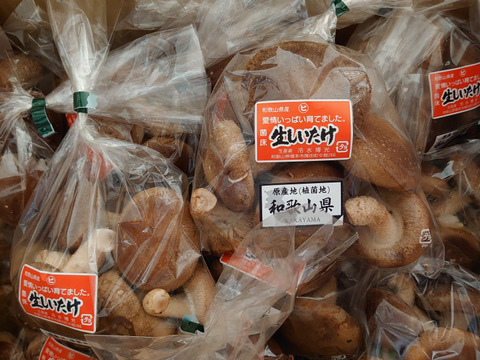 4㎏業務用！菌床生しいたけ　小さくても美味しい（４kg）