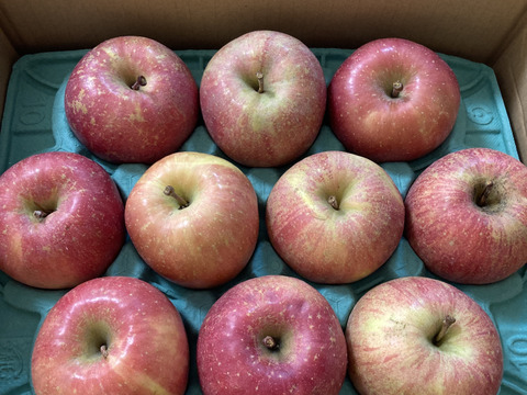 2026年度産予約開始🍎青森県産完熟葉取らずふじ家庭用キズあり約3kg‼️