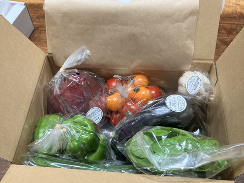 ★期間中農薬不使用★お野菜オーダーページ 今週残り20個【単発購入】旬の波動野菜セット（栽培期間中農薬不