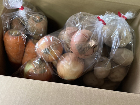 Ｊ-GAP認証農園【北海道羊蹄産】旬の野菜3種セット