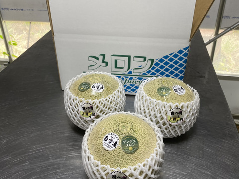 [7/8頃〜発送開始]砂丘地区で栽培された甘くてジューシーなアンデスメロン
