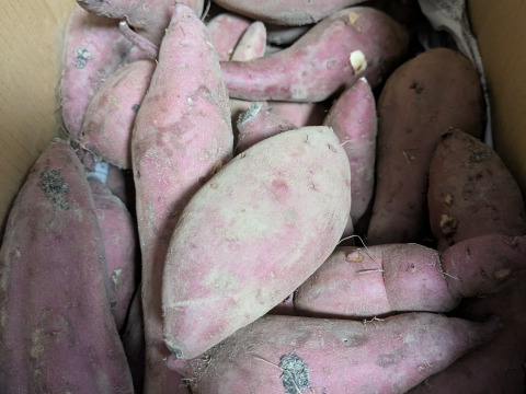 【年末感謝セール】熟成1ヶ月極甘(紅はるか)土付き5㎏～