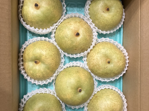 秋の味覚！20世紀梨（8〜９玉入）