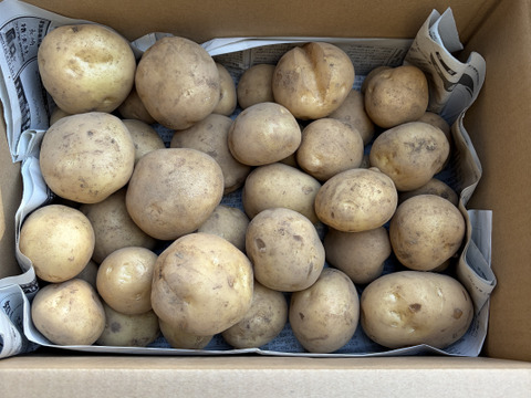 デジマ｜ホクホク旨味が濃い新じゃが 皮ごと食べられる島じゃがいも ４kg