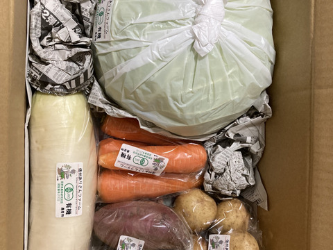 【有機JAS】冬野菜セット（7～9品目）【信州産】