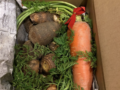 【年末予約便】とろける里芋とろりん1.8kg