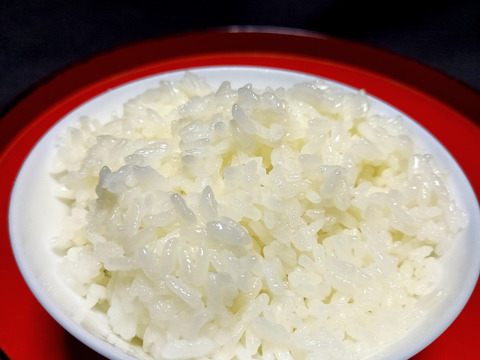 銀河のしずく⭐︎岩手県産⭐︎新米 Amazon.co.jp: by Amazon 岩手県産 白米 銀河のしずく 5kg 令和6
