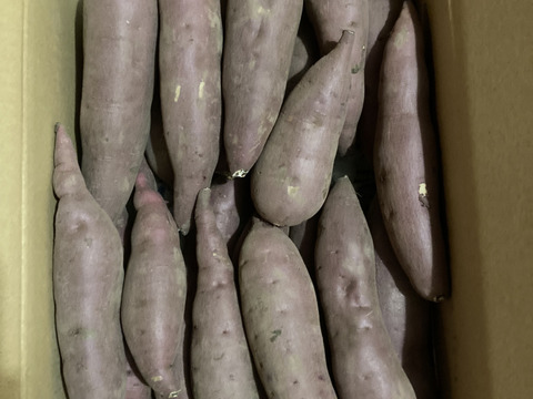 【訳アリ！5kg弱×1箱】ねっとり濃厚、密たっぷり熟成さつまいも🍠「べにはるか」（2S/S/Mサイズ混合お任せセット）