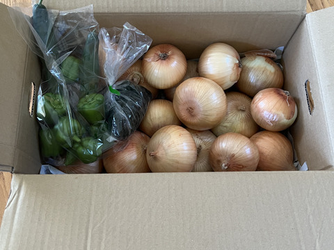 大好評，地層が違う淡路島、大玉、新玉ねぎ、七宝早生(風袋込み5キロ)