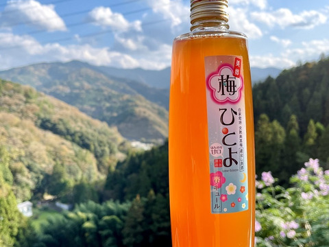 完熟梅の風味をギュッと閉じ込めた梅酒「梅ひとよ」500ml  アルコール度数２0度 自家栽培梅　梅　うめ　本格梅酒