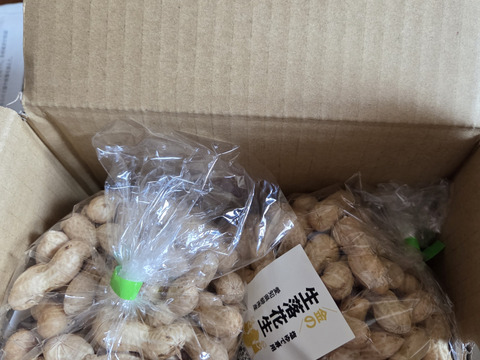 【期間限定】朝採り　金の生落花生！塩ゆで専用（1kg)