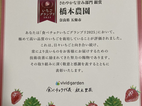 家庭用　訳あり　古都華　奈良県　奈良県　橋本農園　ことか　270g×2パック　いちご　苺