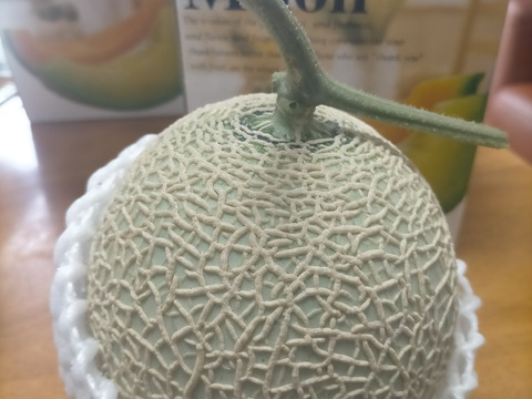 【一茎一果。1苗に1つだけ！】アールスメロン(1.4kg～)2玉セット