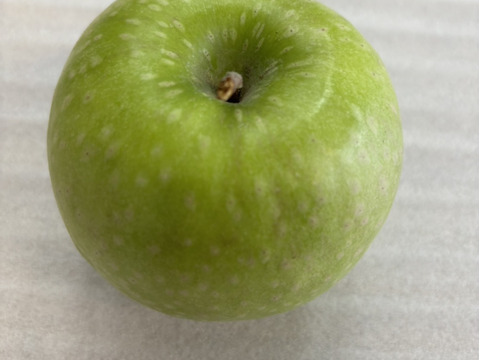 甘くない贅沢！これぞグラニースミス10㎏（25～40玉）