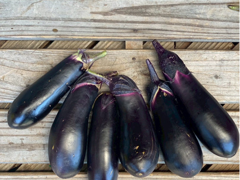 今夜は夏野菜カレーに決まり！夏野菜６品目セット　１人前