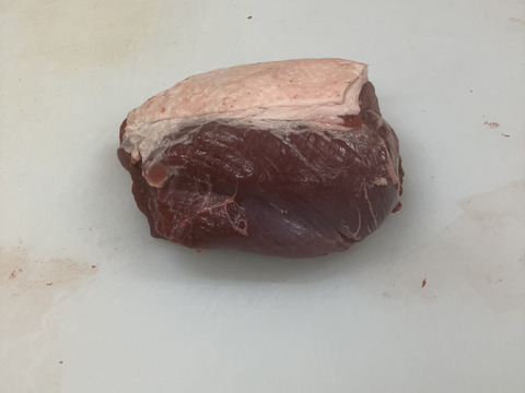 ステーキ！猪肉のシンタマ500g　【ジビエ】　熨斗対応可