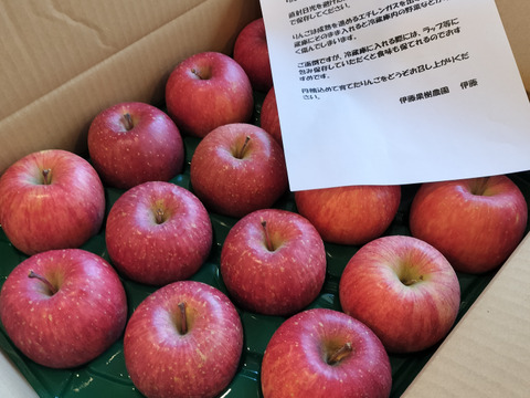 葉とらずサンふじ５キロ家庭用