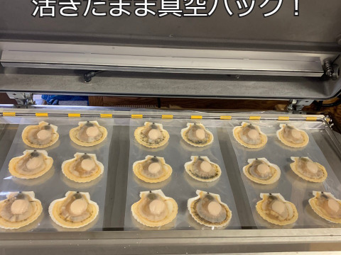 【真空冷凍】漁師が喰うホタテ　６枚入り３パック