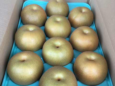 ぜひ一度！！【贈答用】大玉 幸水 5kg 8〜12玉：栃木県産の幸水